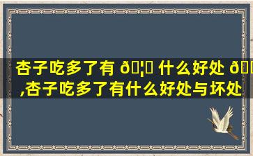 杏子吃多了有 🦊 什么好处 💮 ,杏子吃多了有什么好处与坏处